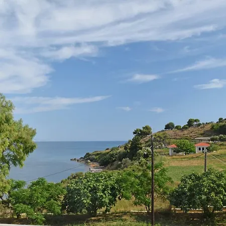 Magdalena Villa *