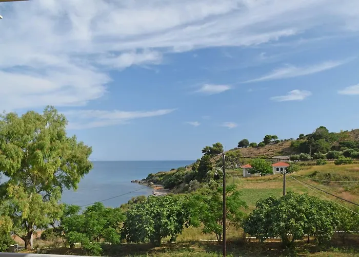 Magdalena Villa *